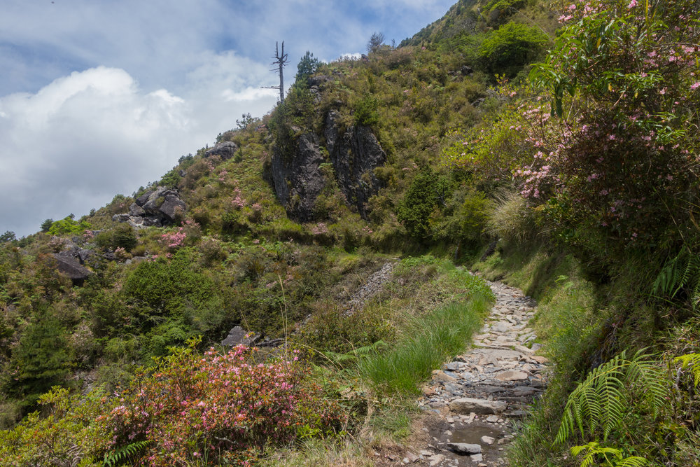 Jade Mountain Taiwan TAO Tour Yushan (132 of 138).jpg
