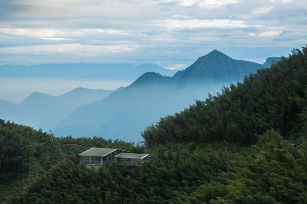 Shuiyang-Forest-Taiwan-TAO-Tour-camping-4-of-57-1024x683.jpg