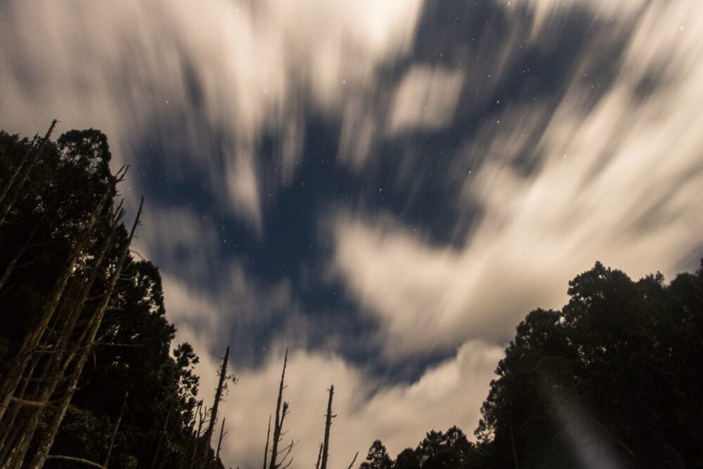 Shuiyang-Forest-Taiwan-TAO-Tour-camping-40-of-57-1024x683.jpg