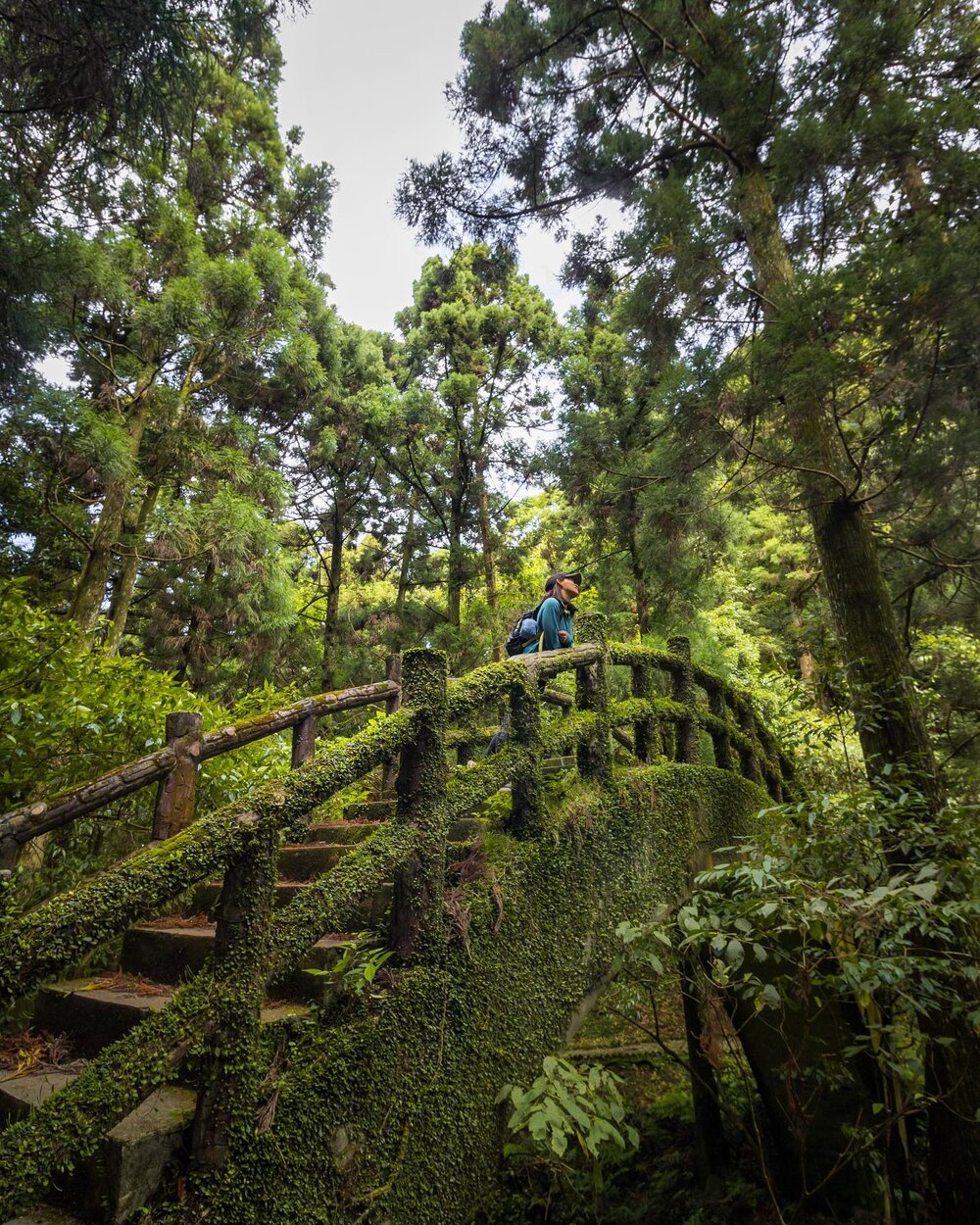 Taiwan has some beautiful forested paths to explore and relax in. For eating bathing is something I&rsquo;ve found to need over the years. Without spending time immersed in nature I tend to overly stress out. City life isn&rsquo;t for me. I&rsquo;d rather take my loved ones and escape to the woods for a while! 
#自然 #fantastic_earth #nature_wizards #landscape #wildernessstones #wildernessnation #landscape_hunter #landscape_lovers #landscape_photography #landscapehunter #landscapelover #landscapelovers #landscapephotography #landscapephotomag #landscapephotos #landscapes #landscapeshot #iformosa&nbsp;#longexposureoftheday #natgeo #nationalgeographic&nbsp;#naturephotography #nature_perfection #ourplanetdaily #worldnomads #台灣 #bpintaiwan #gohiking #adventurers