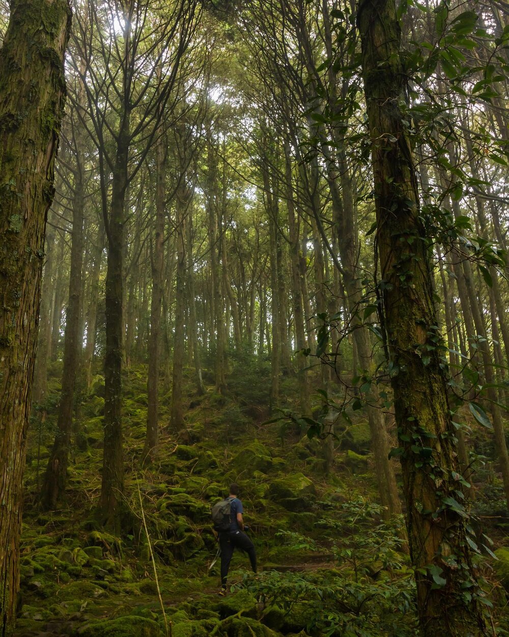 Hiking amongst towering trees and thick forests make us feel insignificant, and that&rsquo;s a good thing.
#自然 #fantastic_earth #nature_wizards #landscape #wildernessstones #wildernessnation #landscape_hunter #landscape_lovers #landscape_photography #landscapehunter #landscapelover #landscapelovers #landscapephotography #landscapephotomag #landscapephotos #landscapes #landscapeshot #iformosa&nbsp;#longexposureoftheday #natgeo #nationalgeographic&nbsp;#naturephotography #nature_perfection #ourplanetdaily #worldnomads #台灣 #bpintaiwan #gohiking #adventurers #大雪山國家森林遊樂區