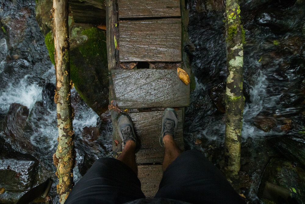 Smangus Zhenxibao Taiwan Hiking Indigineous Tribe Atayal Ryan Hevern Ancient Cypress Trees (22 of 52).jpg